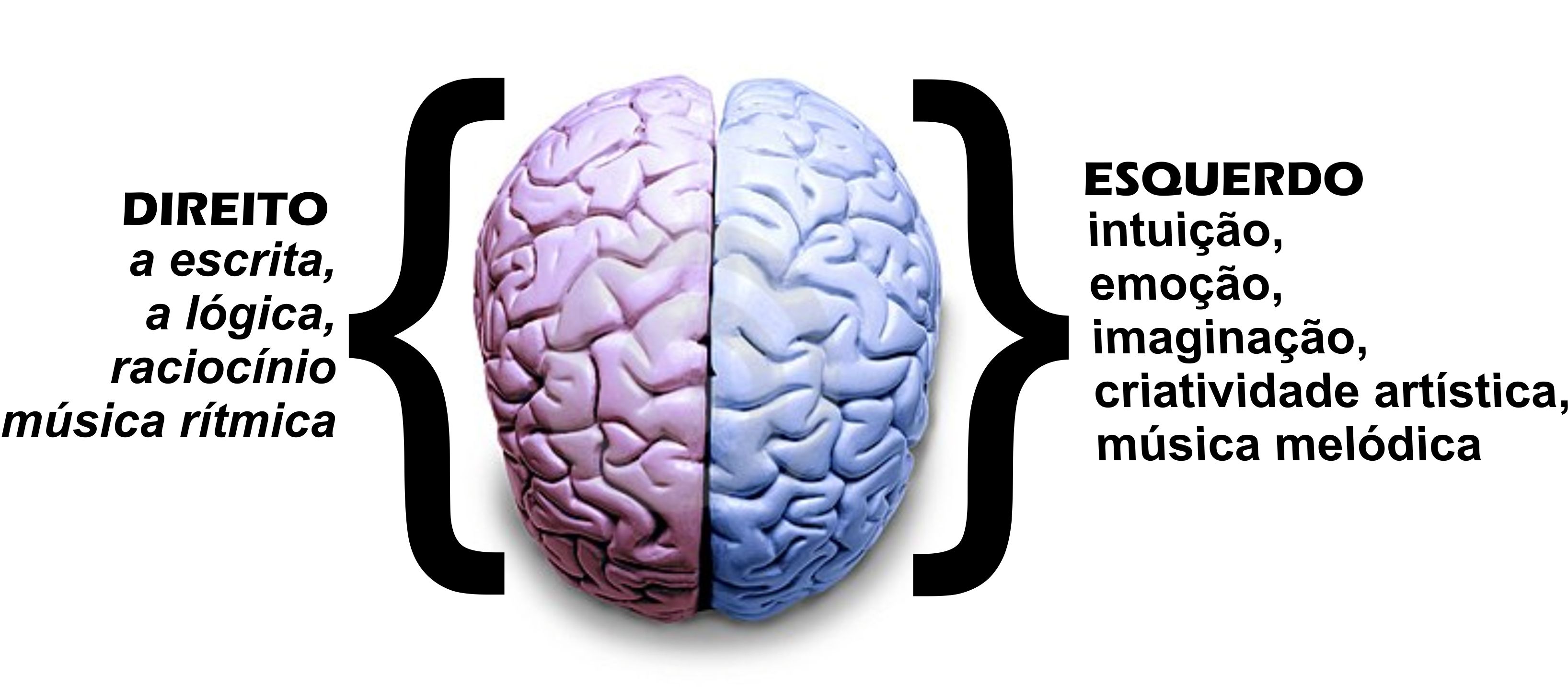 Cérebro lado esquerdo-lado direito: Raciocínios visual e numérico
