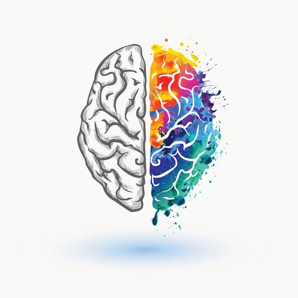 Padrões de conectividade do cérebro podem ser marcador estável de TDAH